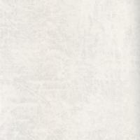 40cd64daadc4edd61119ece0aaffcdd8