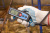 SNIPER 30 IM01155 SNIPER 30 IM01155