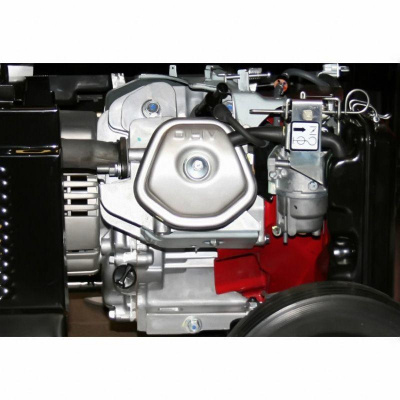 DPG65513