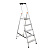 stremyanka-alyuminievaya-5-stupeney-safety-126337_45c325f745defc5_300x300
